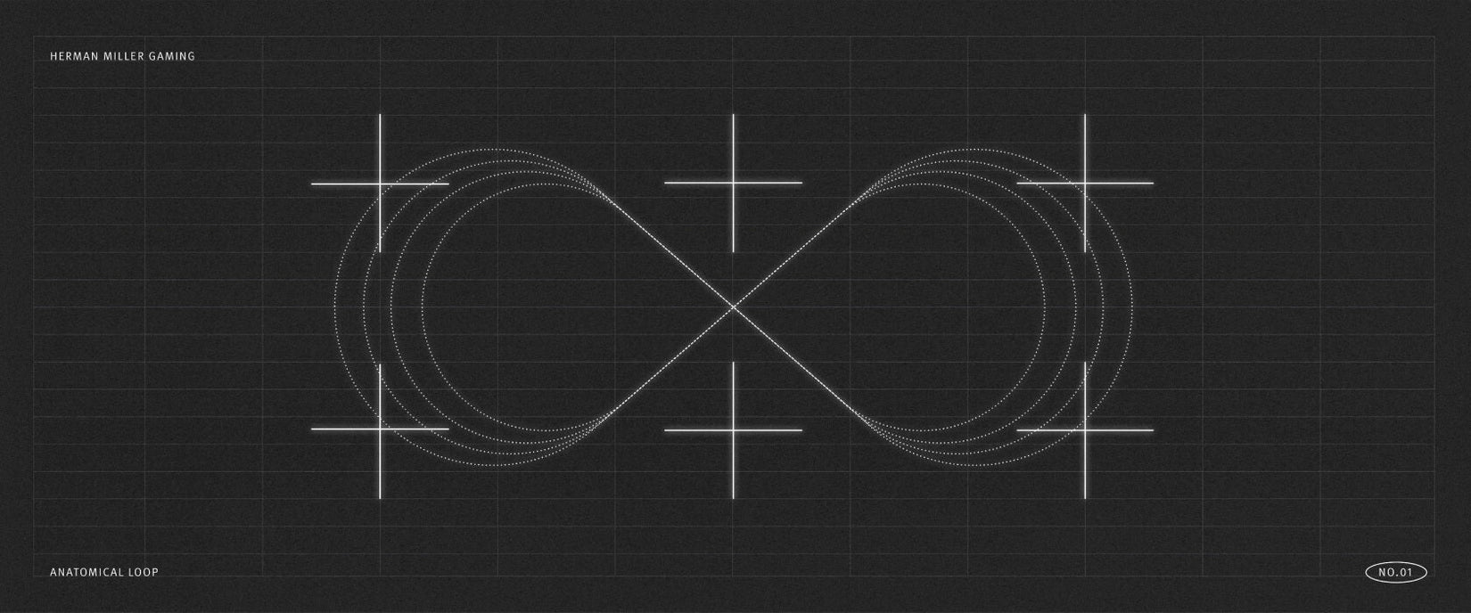 Wissenschaftliche Grafik, die eine anatomische Schleife zeigt – eine acht auf der Seite liegend