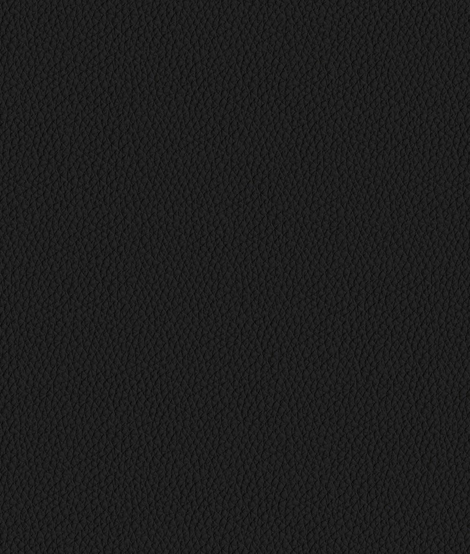 Asari Stuhl mit hoher Rückenlehne Raven Schwarz Leder