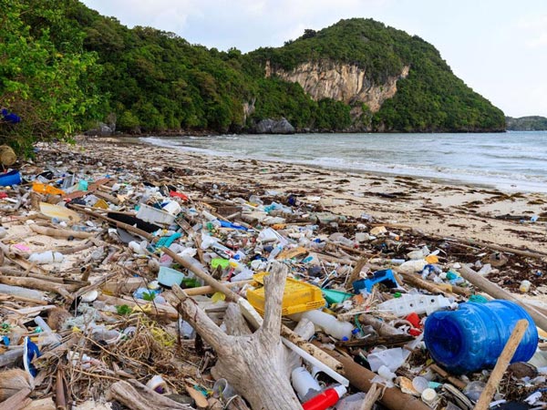 Foto eines mit Kunststoffen bedeckten Strandes, das zeigt, wo Herman Miller die Kunststoffe zurückgewinnt, um sie für neue Produkte zu verwenden