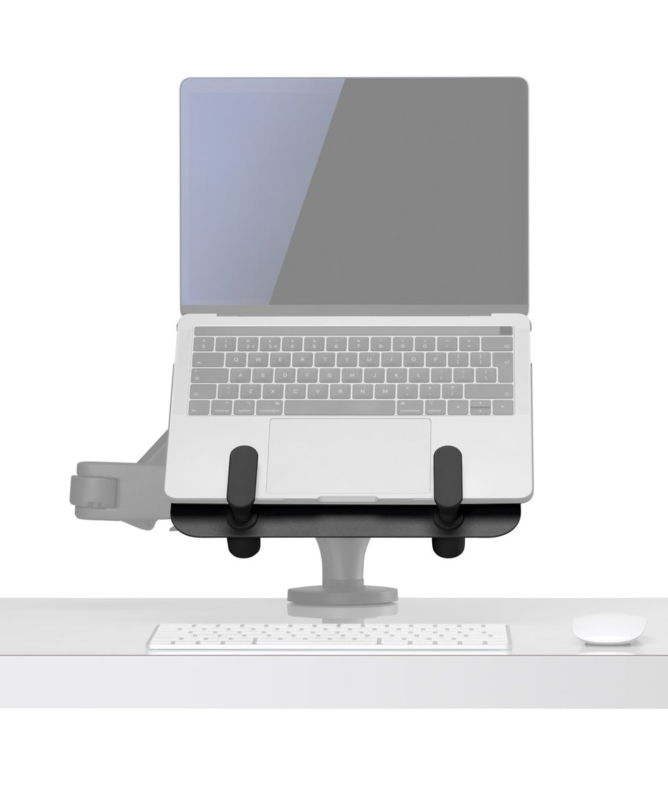 Ollin Laptop- und Tablet-Halterung