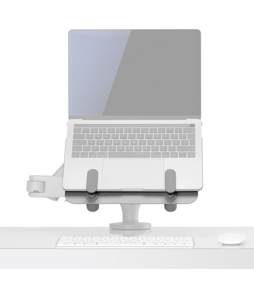 Ollin Laptop- und Tablet-Halterung