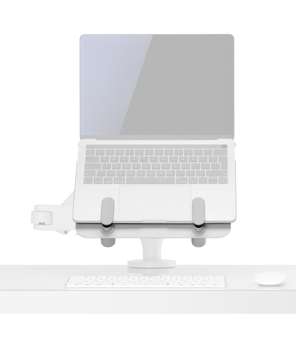 Ollin Laptop- und Tablet-Halterung