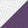 colour_Blazer & Studio Weiß/Moorlands