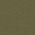 colour_Olive