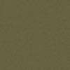 colour2_Olive